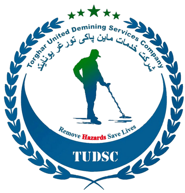 TUDSC logo